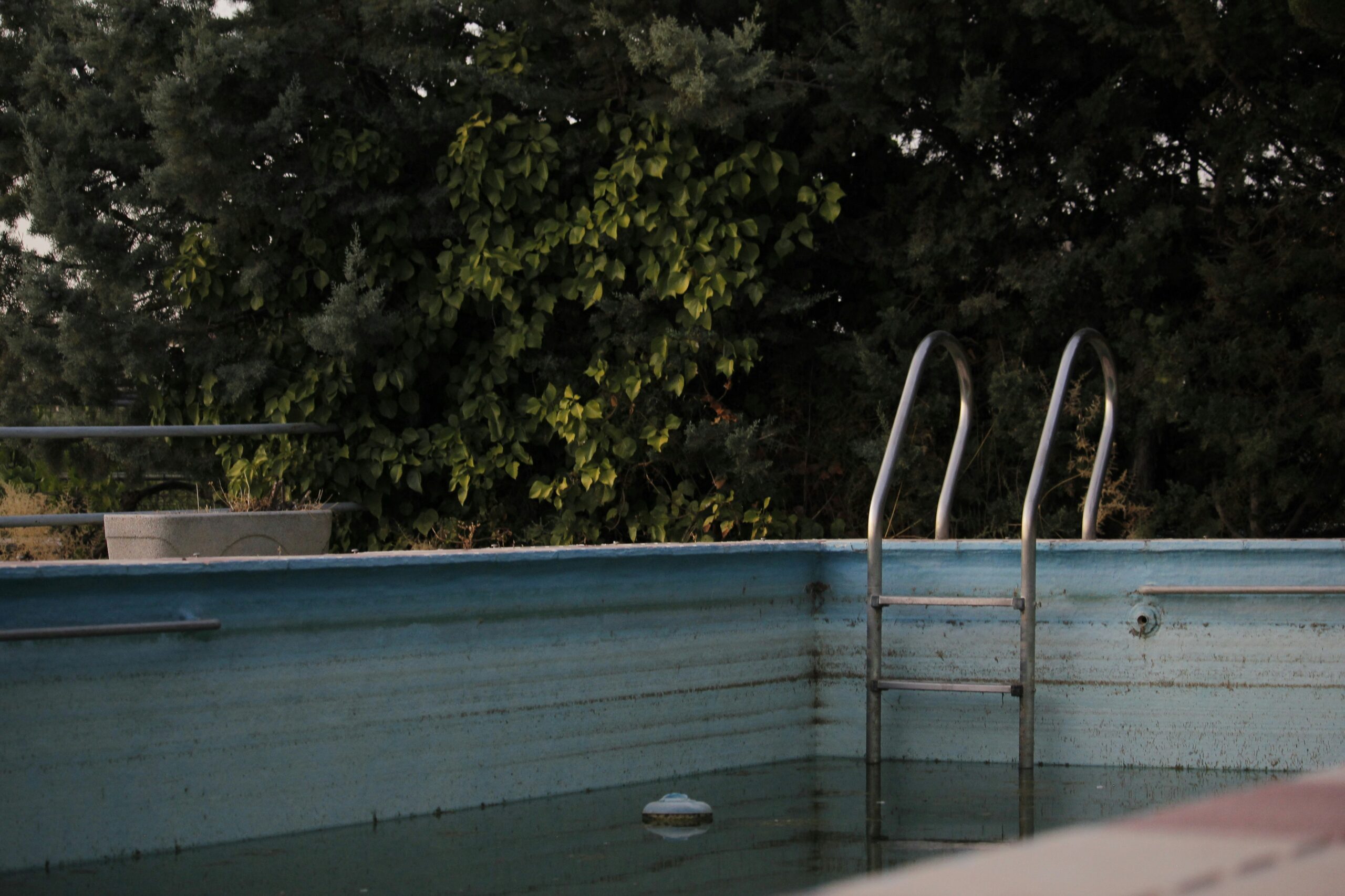 Neglected backyard swimming pool.