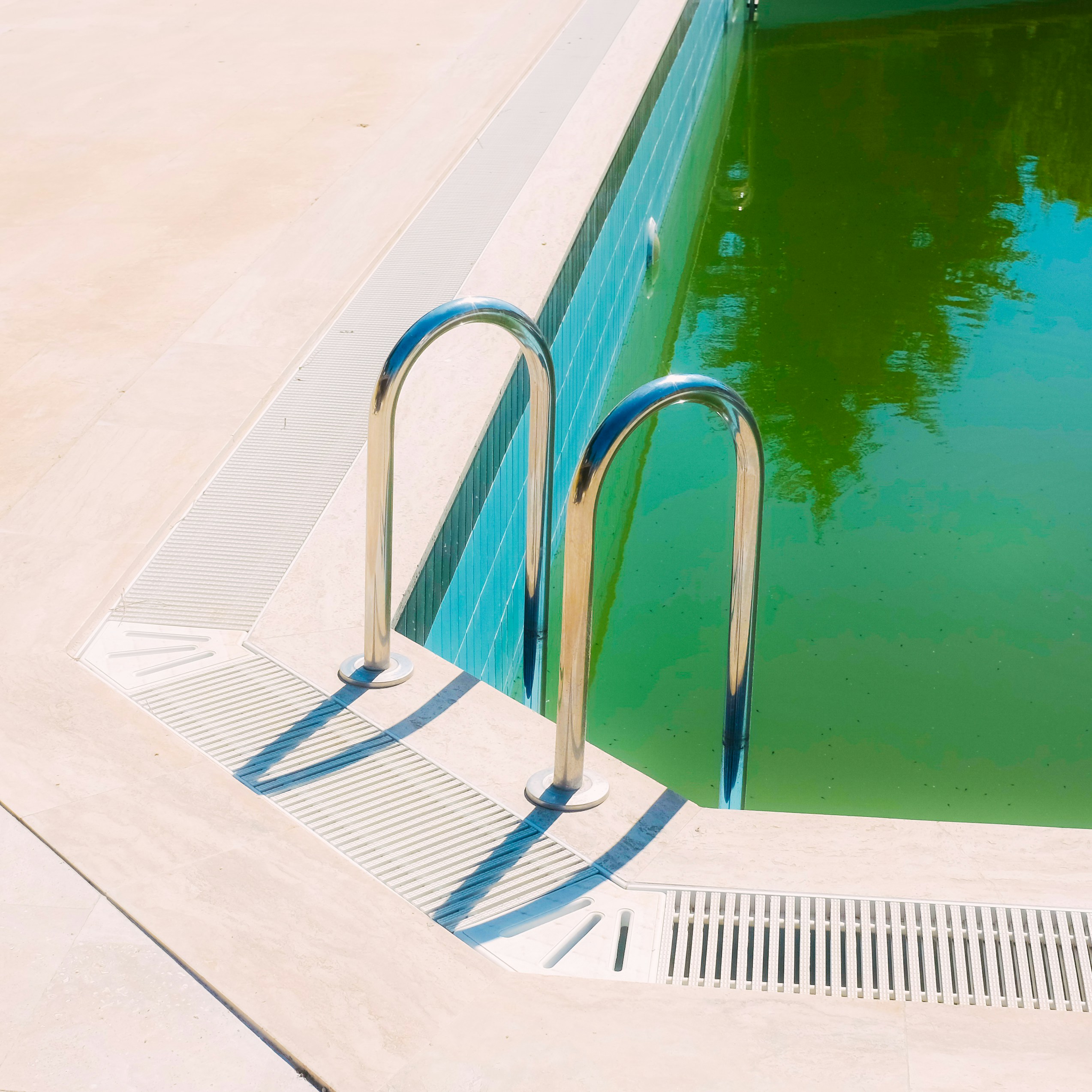 Algae in Your Pool: How to Identify and Kill It Fast